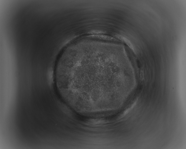 X0000101100351200807101452