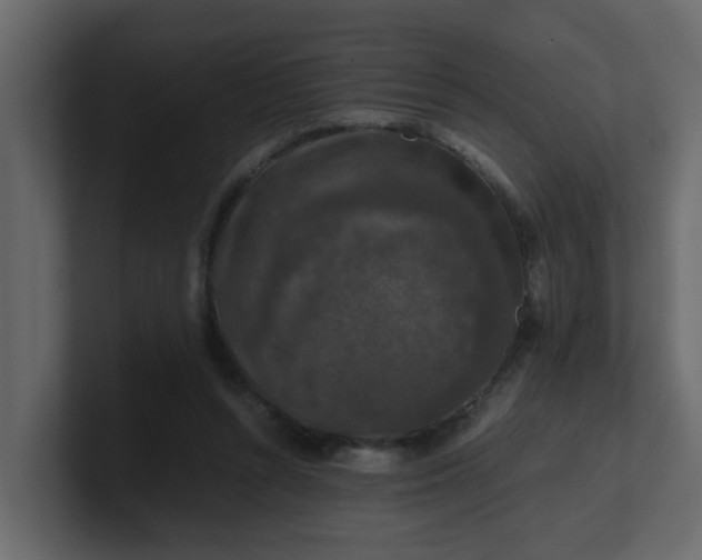 X0000101100352200807101452