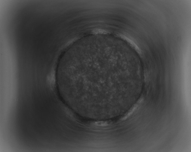 X0000101100353200807101452