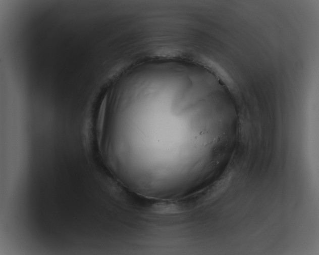 X0000101100354200807101452