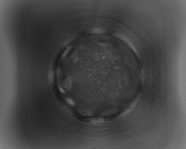 X0000101100355200807101452