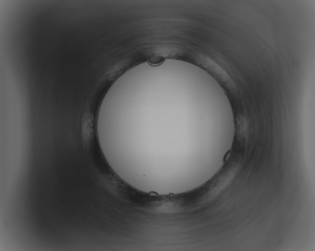 X0000101100356200807101452