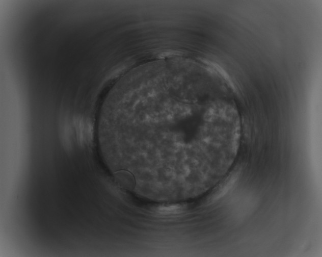 X0000101100357200807101452