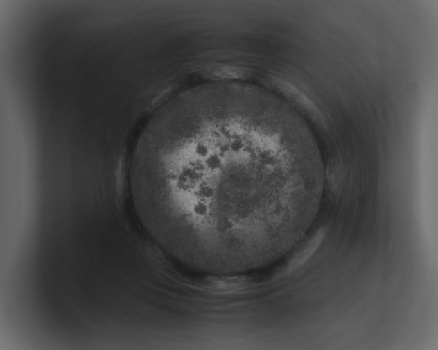 X0000101100359200807101452