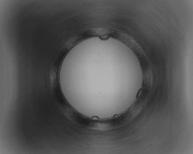 X0000101100360200807101452