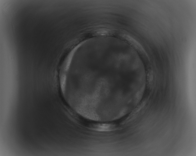 X0000101100361200807101452