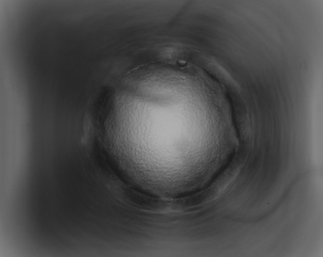 X0000101100363200807101452