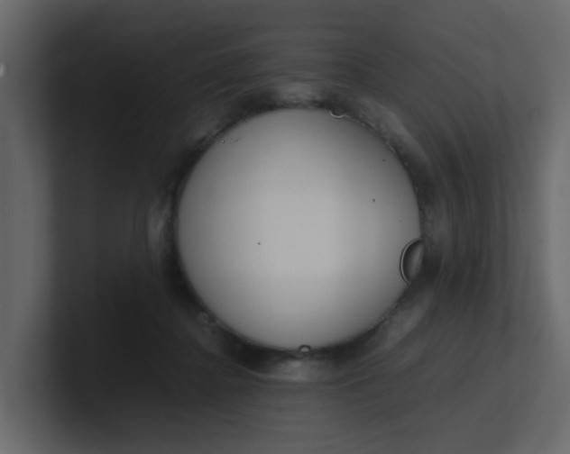 X0000101100364200807101452