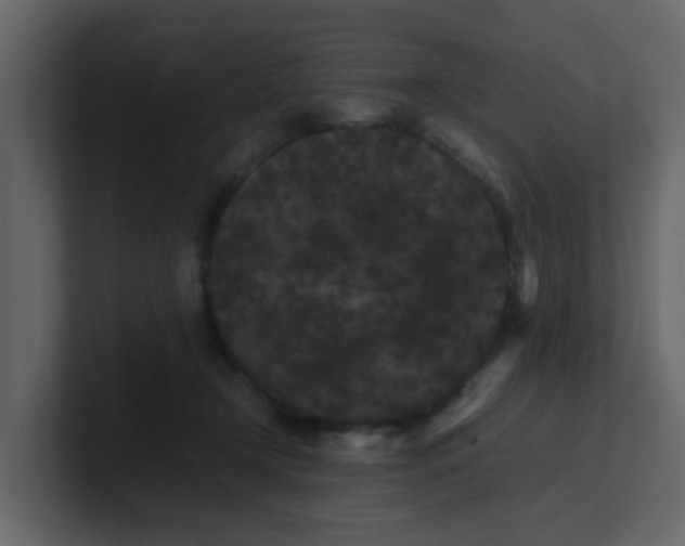 X0000101100366200807101452