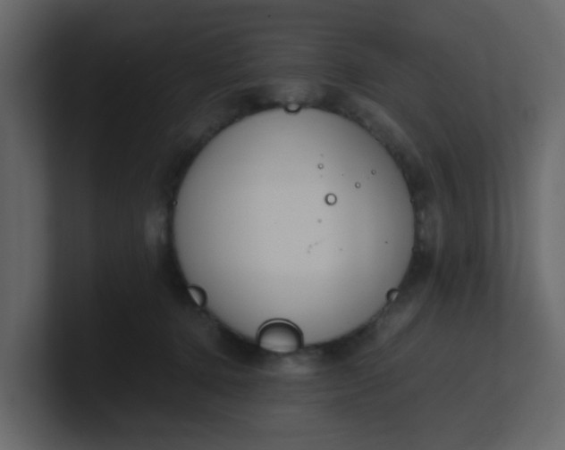 X0000101100368200807101452