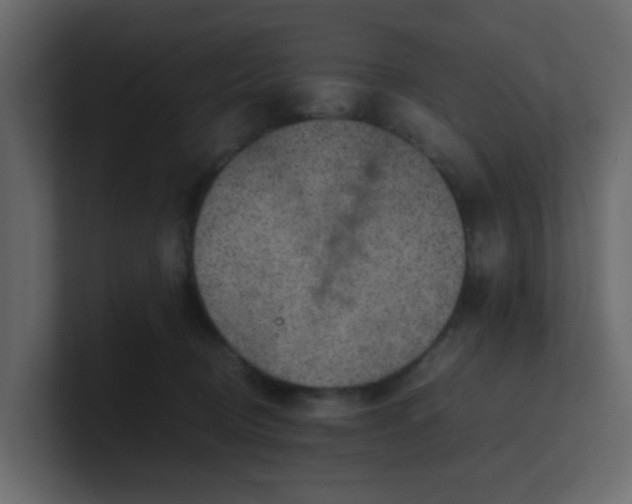 X0000101100370200807101452