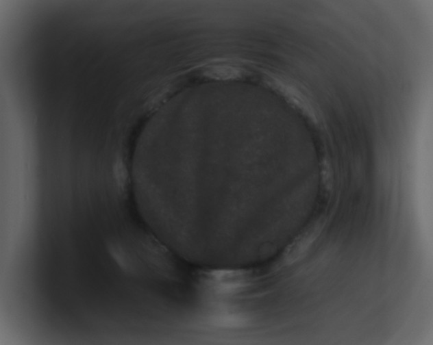 X0000101100371200807101452