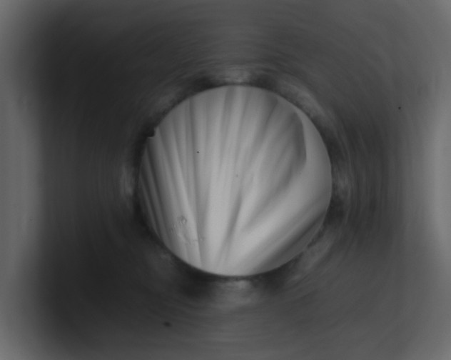 X0000101100374200807101452