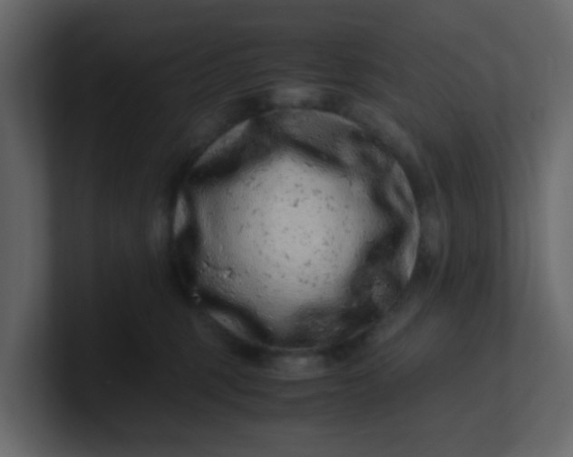 X0000101100375200807101452