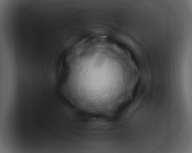 X0000101100377200807101452