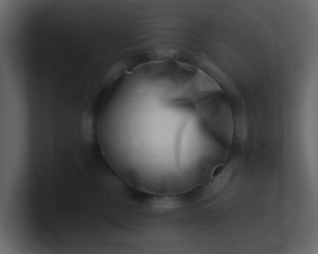 X0000101100378200807101452