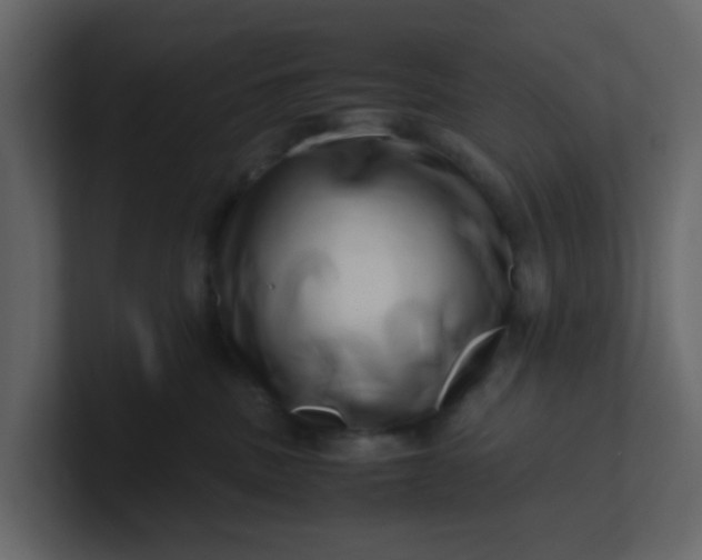 X0000101100379200807101452