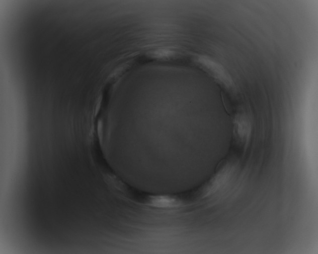 X0000101100380200807101452