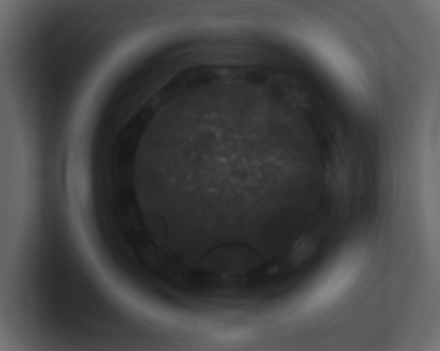 X0000101100383200807101452