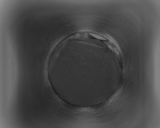 X0000101100385200807101452