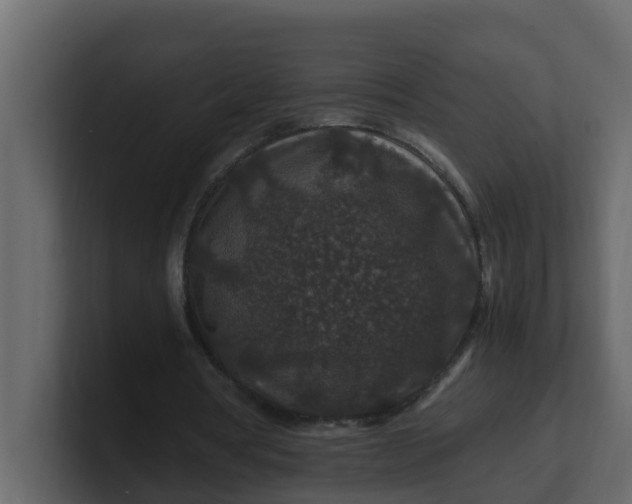 X0000101100386200807101452