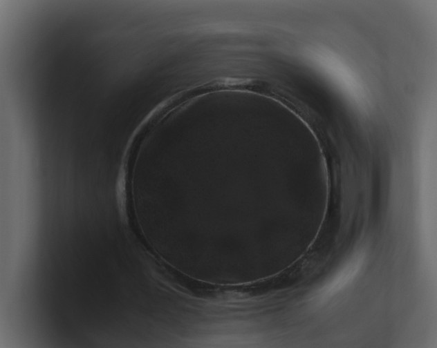 X0000101100387200807101452