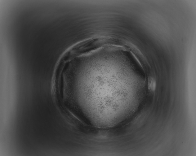 X0000101100388200807101452