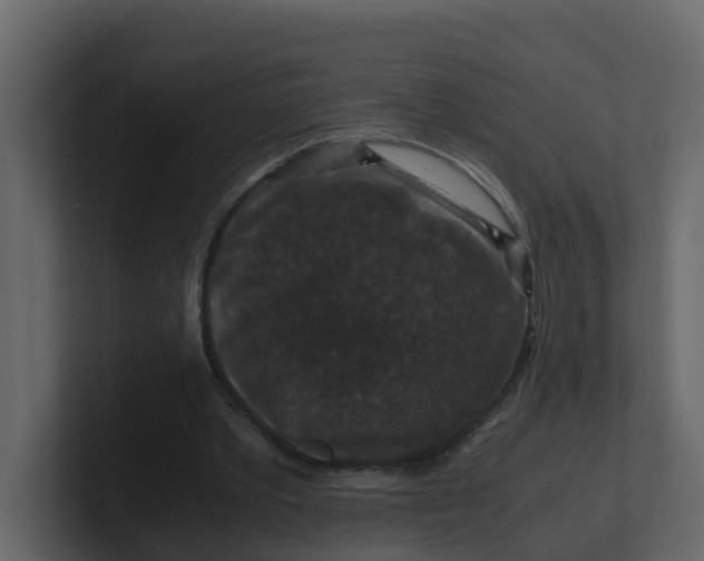 X0000101100389200807101452