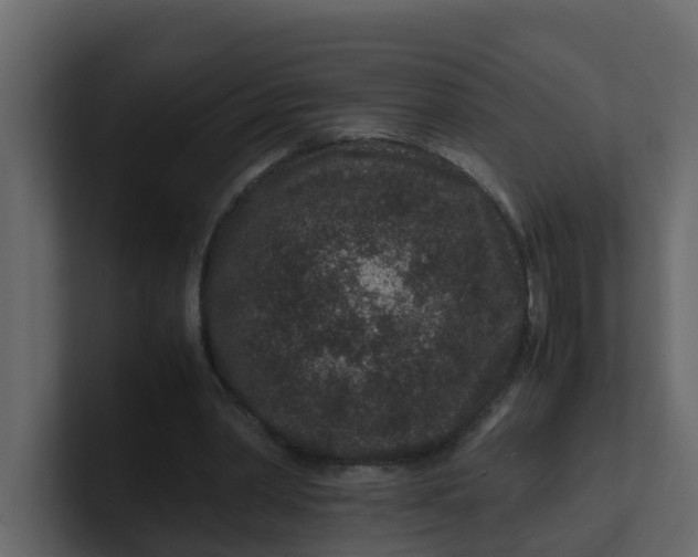 X0000101100390200807101452