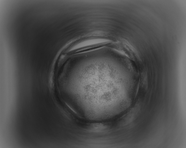 X0000101100392200807101452