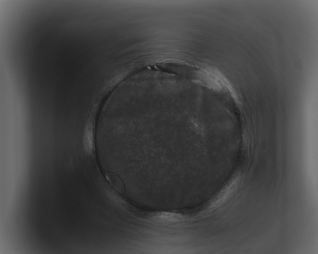 X0000101100393200807101452