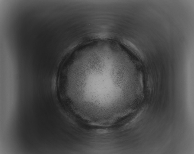 X0000101100394200807101452