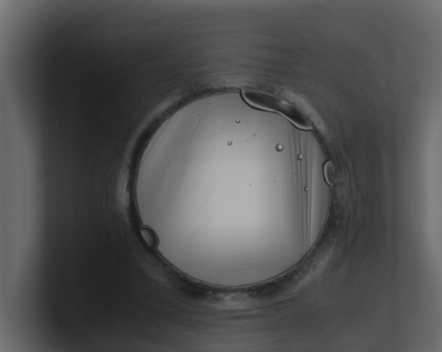 X0000101100395200807101452