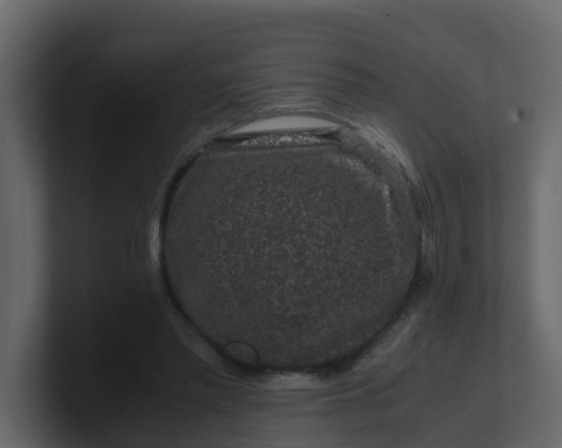 X0000101100397200807101452