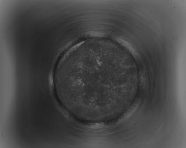 X0000101100398200807101452