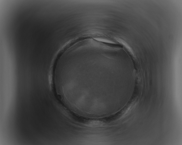 X0000101100399200807101452