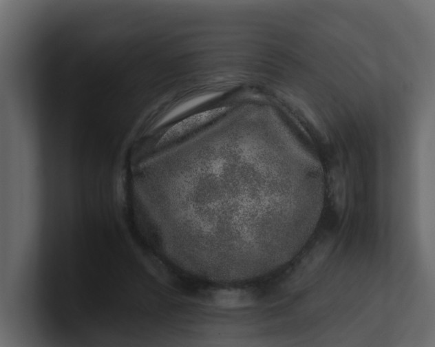 X0000101100400200807101451