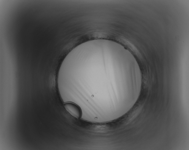 X0000101100401200807101451