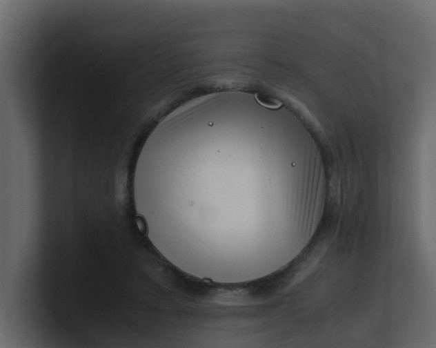 X0000101100403200807101451