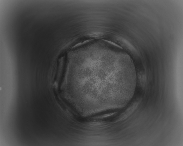 X0000101100404200807101451