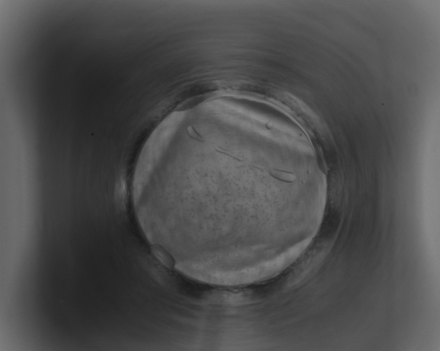 X0000101100405200807101451