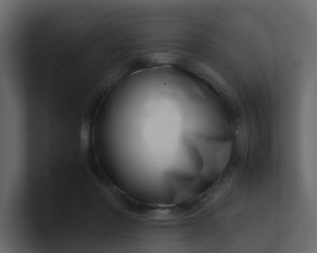 X0000101100406200807101451