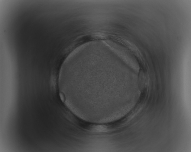 X0000101100409200807101451