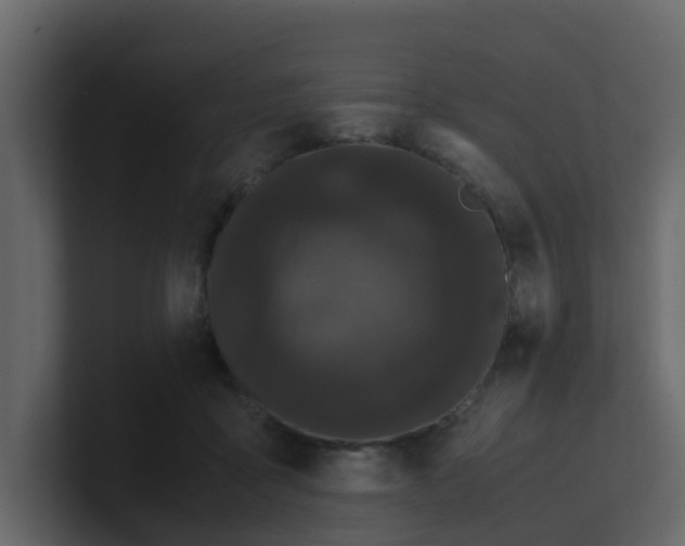 X0000101100411200807101451