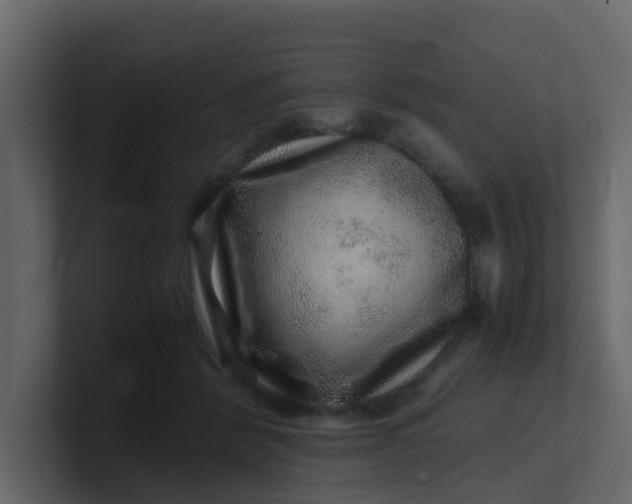 X0000101100412200807101451