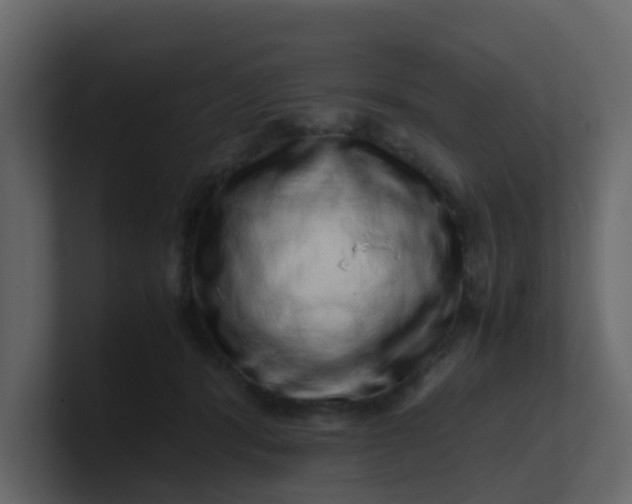 X0000101100416200807101451