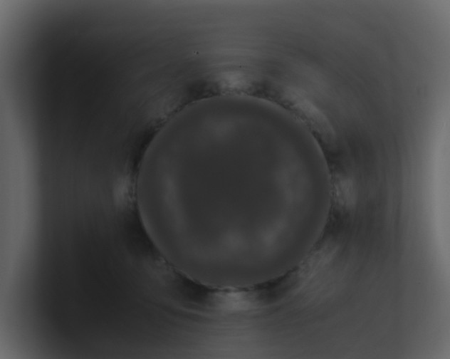 X0000101100419200807101451