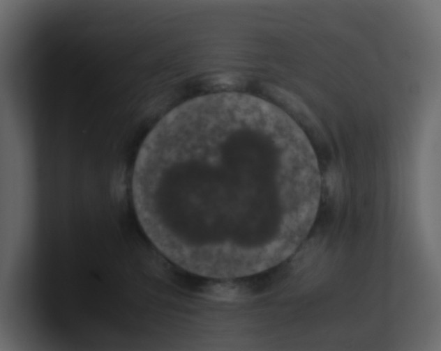 X0000101100423200807101451