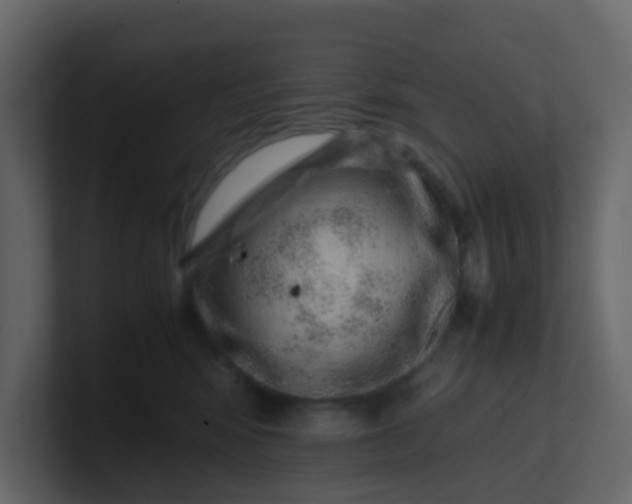 X0000101100424200807101451