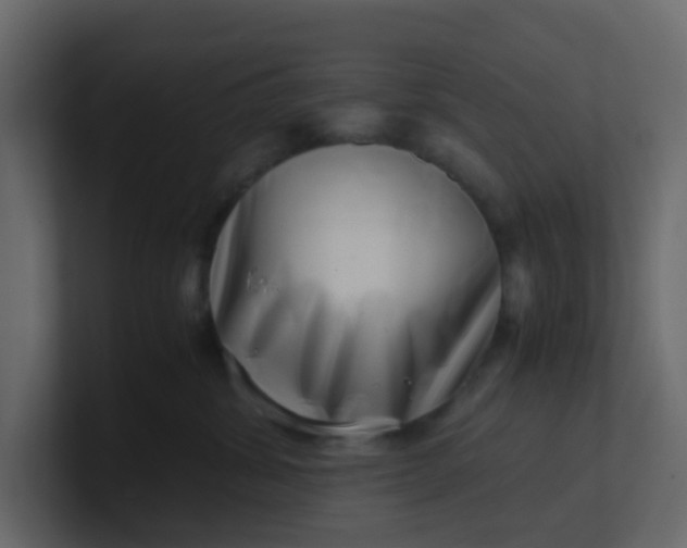 X0000101100428200807101451